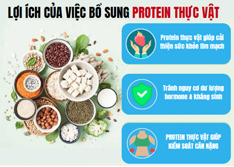 Ưu điểm của ProteNut
